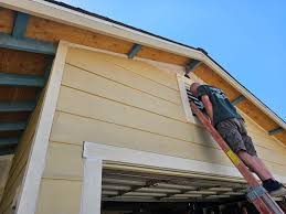 Best Custom Trim and Detailing for Siding  in Mmaduke, AR